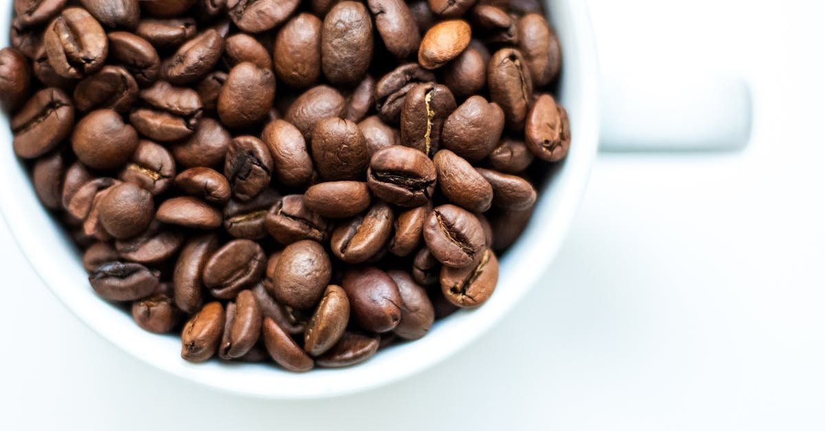 Korzyści z kawy: Jak kawa wpływa na zdrowie, energię i długowieczność