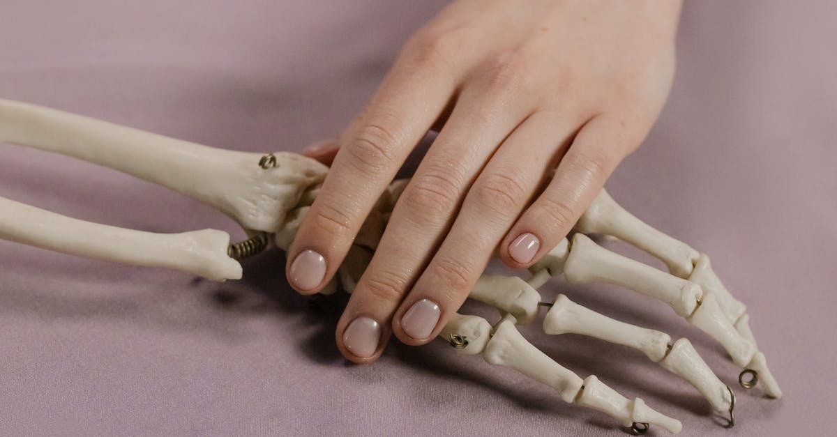 Witaminy i zdrowie kości: przewodnik po witaminach wspierających mocne kości