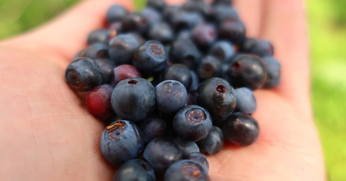 Witamina B12: dlaczego jest niezbędna, gdzie ją znaleźć i jak uzupełniać niedobory