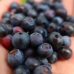 Witamina B12: dlaczego jest niezbędna, gdzie ją znaleźć i jak uzupełniać niedobory