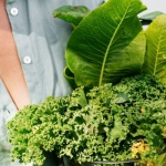 Jak naturalnie obniżyć poziom cholesterolu: sprawdzone sposoby dietą, suplementami i aktywnością fizyczną